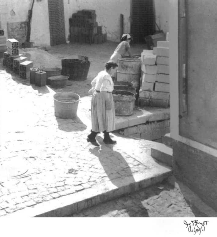 ignazio_danzeo_carpino_04