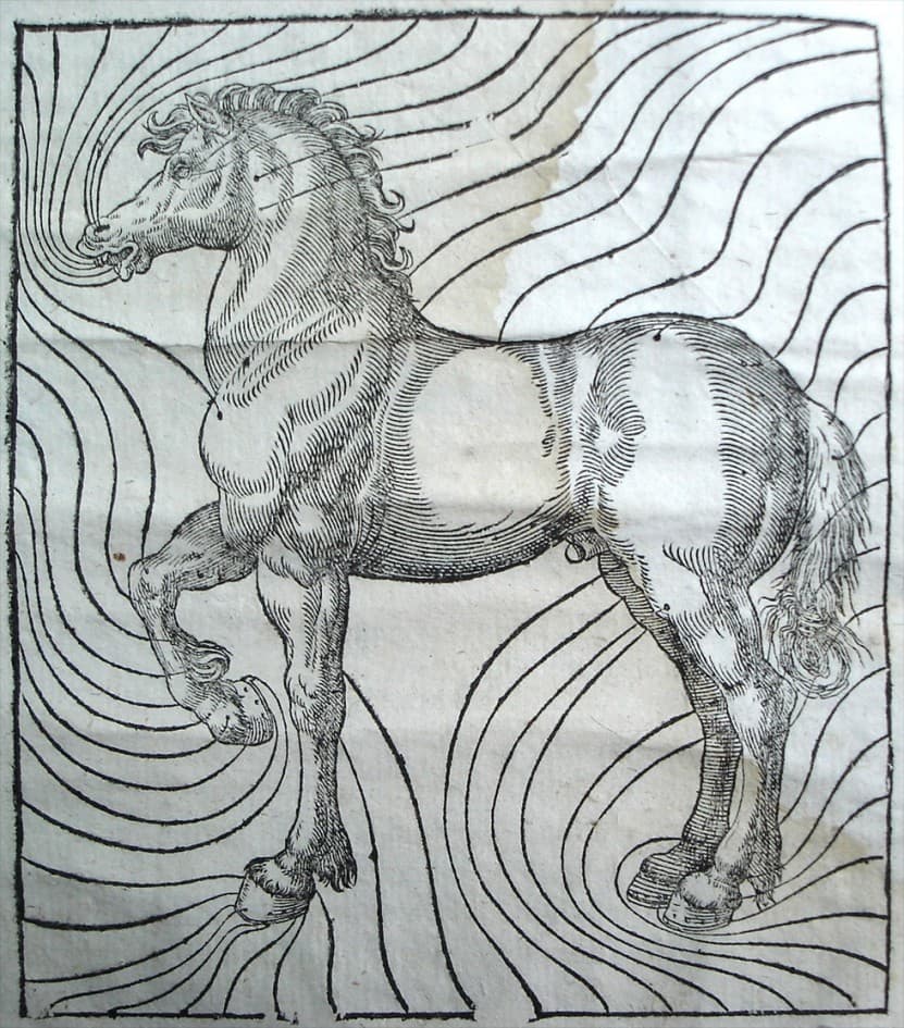 Agostino Colombre: Mascalcia, Venezia, 1622