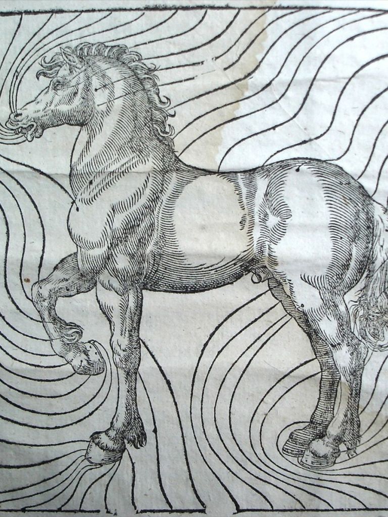 agostino-colombre-1